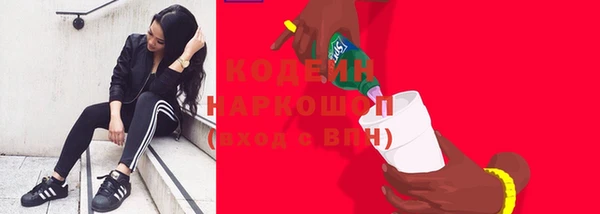 гашик Чекалин