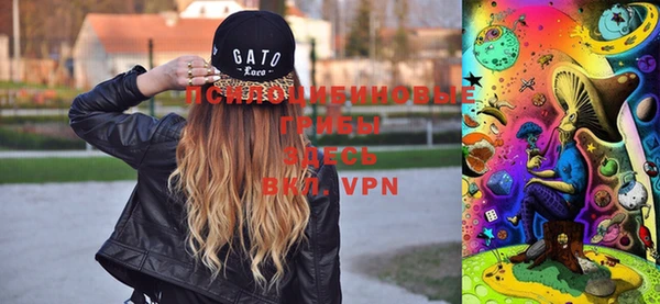 герыч Чердынь