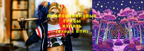 гашик Чекалин